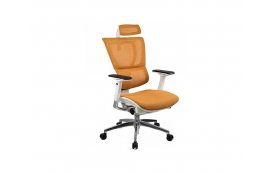 Эргономичное кресло для компьютера Mirus-IOO-Orange Comfort Seating Group - Кресла для руководителя Kreslalux