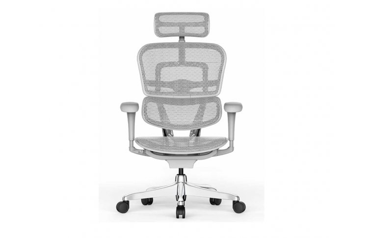Крісла для керівника: купить Крісло Ergohuman Project 2 - 2