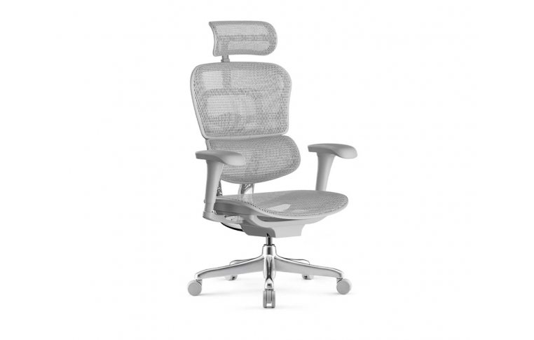 Кресла для руководителя: купить Кресло Ergohuman Project 2 - 1